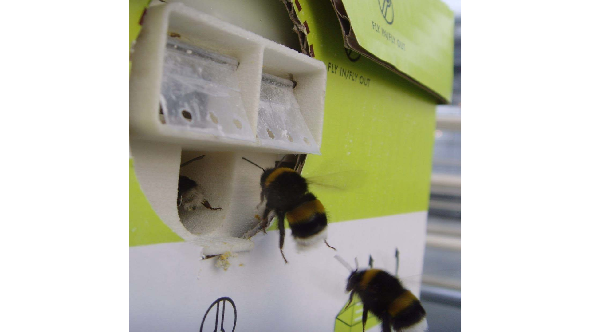 Flying doctors! IPMworks