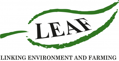 LEAF_LOGO